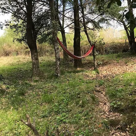Mountain Route